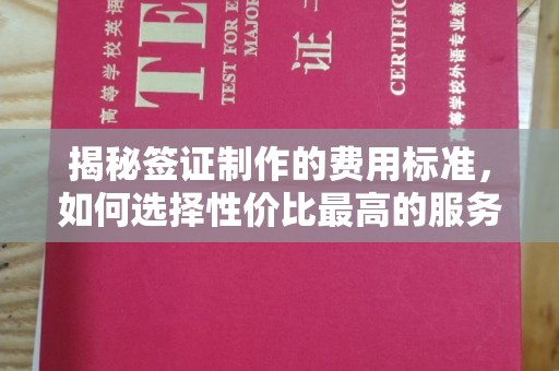 印台揭秘签证制作的费用标准，如何选择性价比最高的服务？