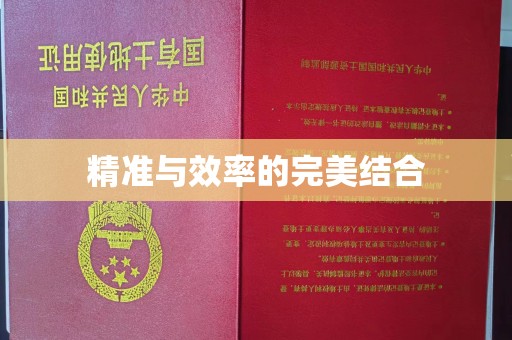 印台精准与效率的完美结合
