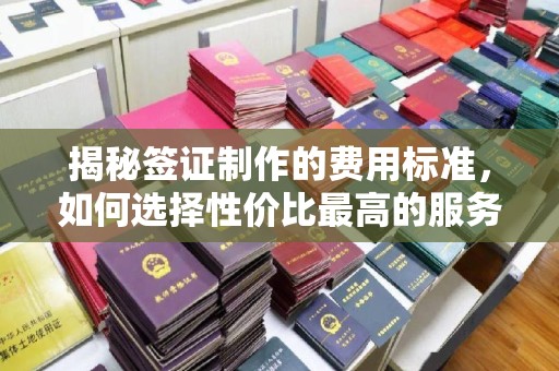 印台揭秘签证制作的费用标准，如何选择性价比最高的服务？